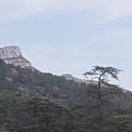 Charmant Appartement Neuf Le Taoume Marsiglia Esterno foto
