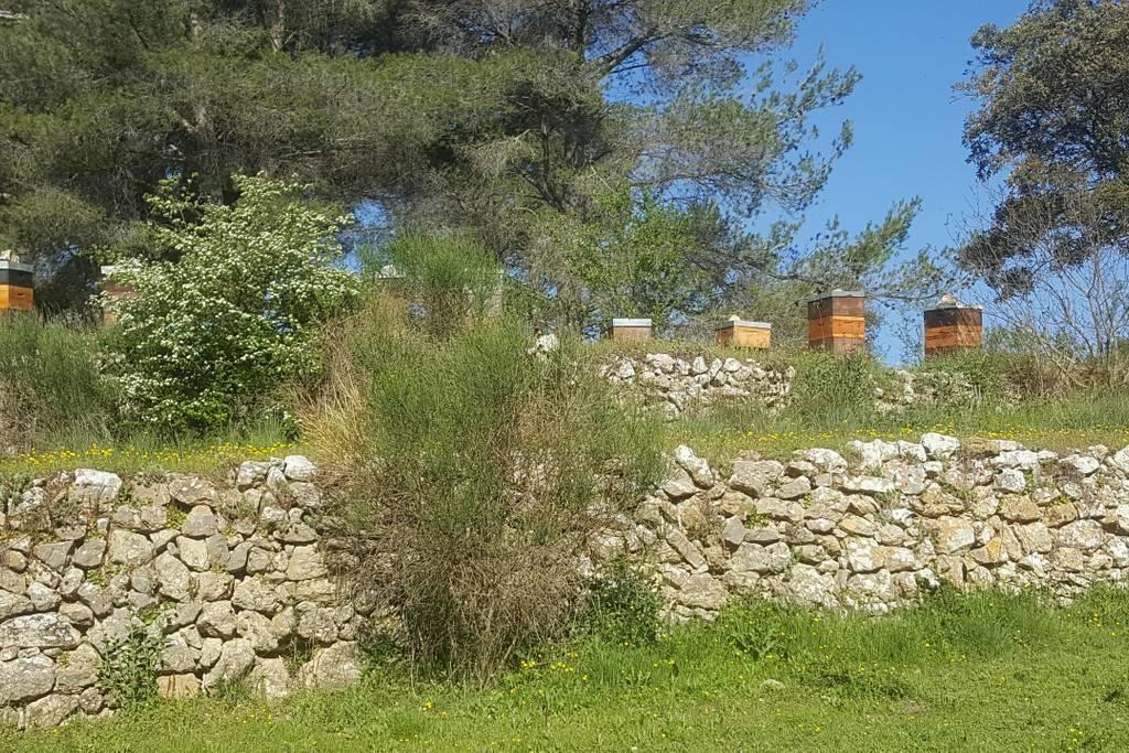 Charmant Appartement Neuf Le Taoume Marsiglia Esterno foto
