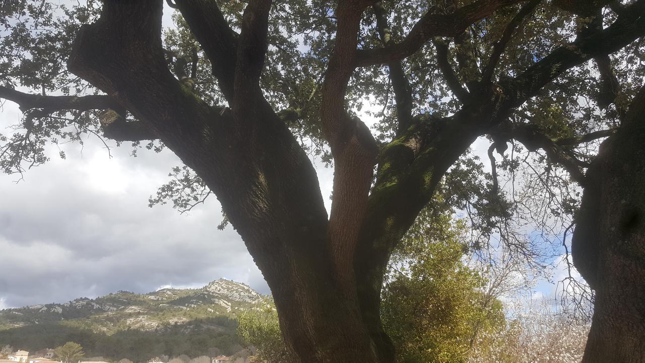 Charmant Appartement Neuf Le Taoume Marsiglia Esterno foto
